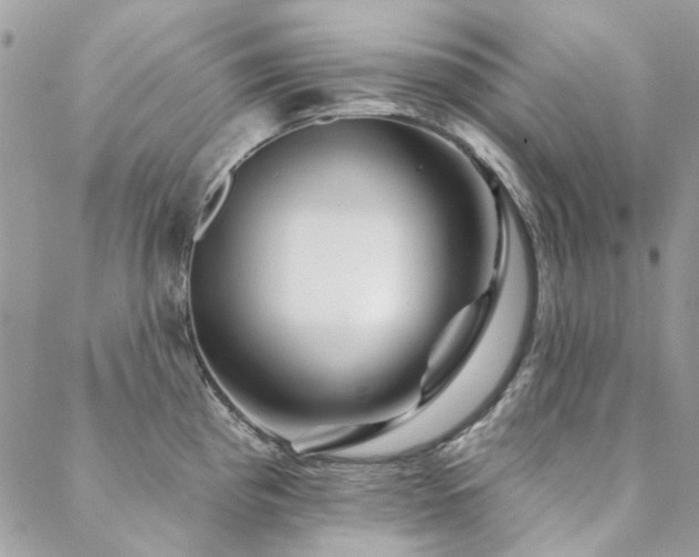 X0000088671193200705311135