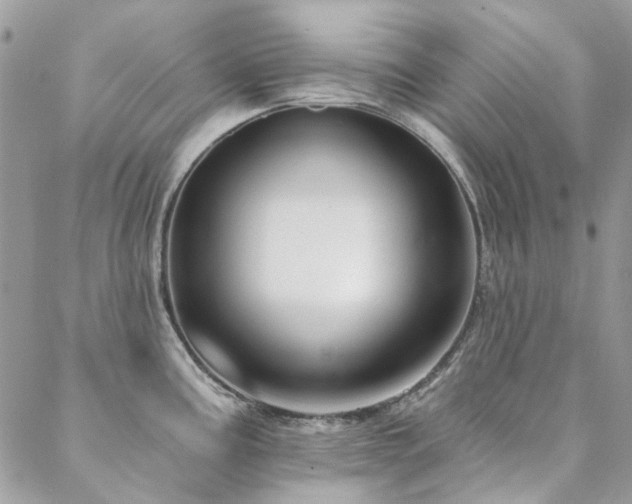 X0000088671195200705311135
