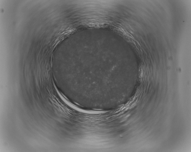 X0000088671202200705311134