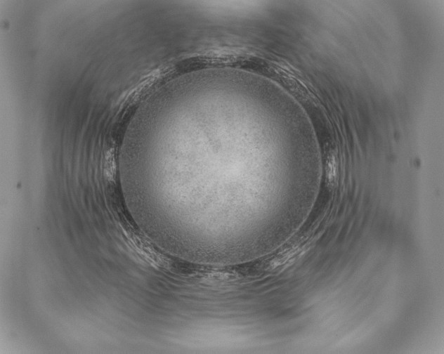 X0000088671204200705311134
