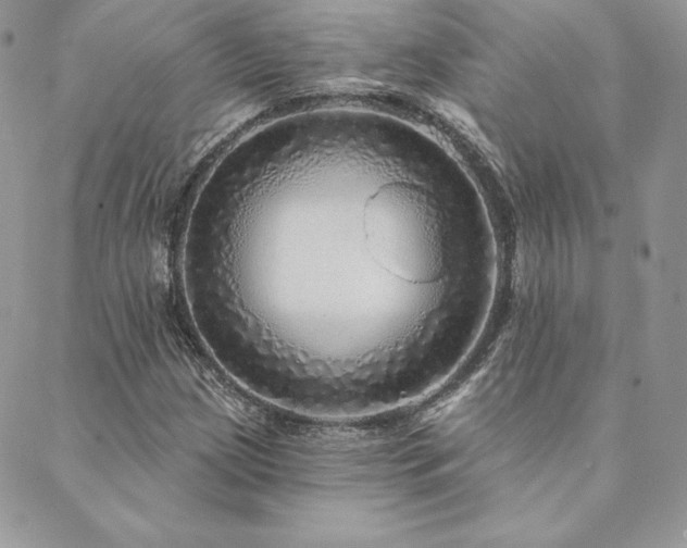 X0000088671209200705311134