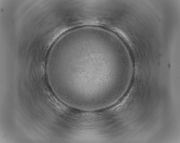 X0000088671212200705311134