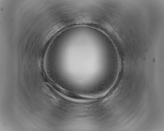 X0000088671217200705311134