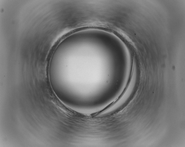 X0000088671222200705311134
