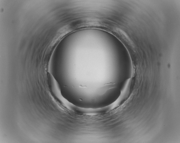 X0000088671225200705311134
