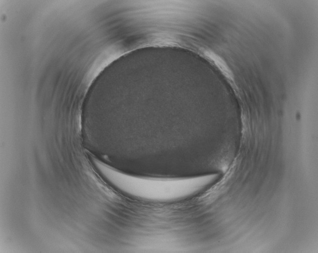X0000088671226200705311134