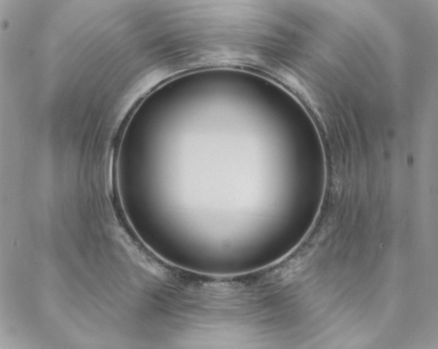 X0000088671227200705311134