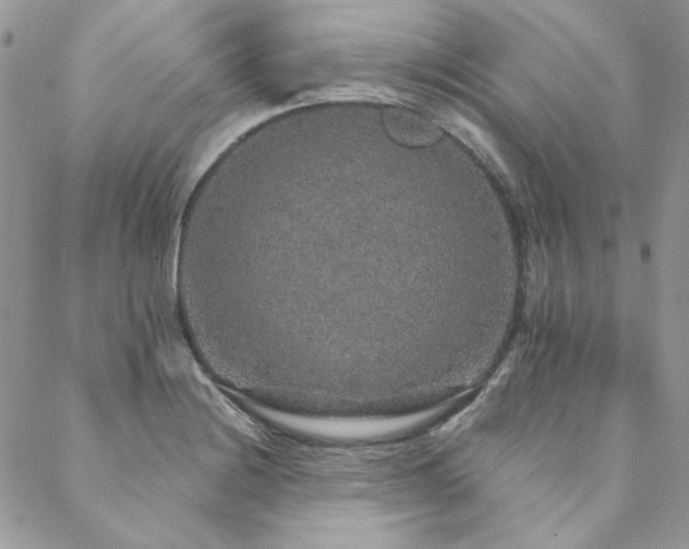 X0000088671228200705311134