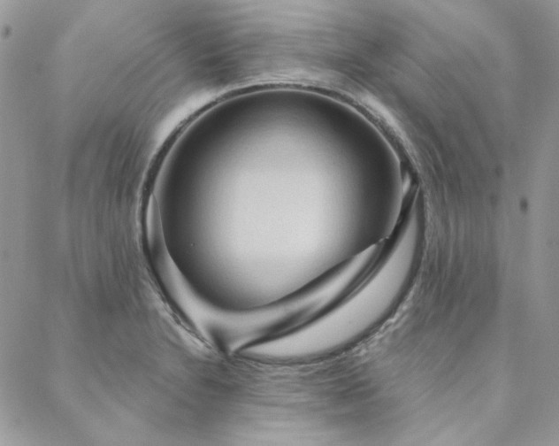X0000088671230200705311134