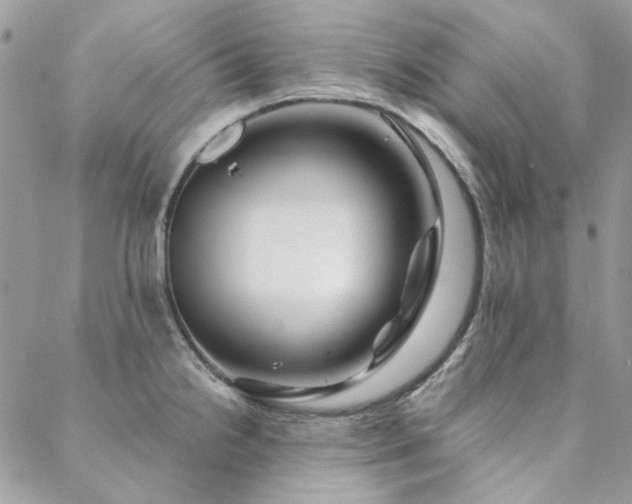 X0000088671238200705311135