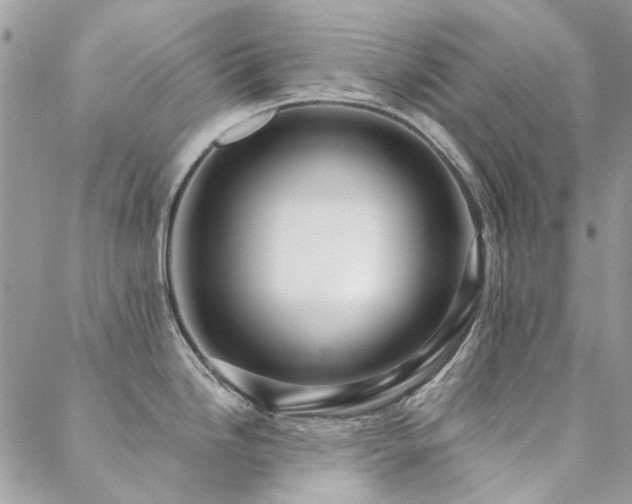 X0000088671246200705311135