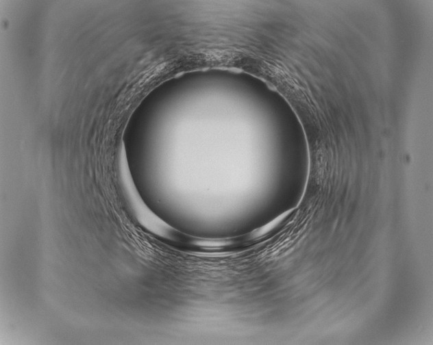 X0000088671249200705311134