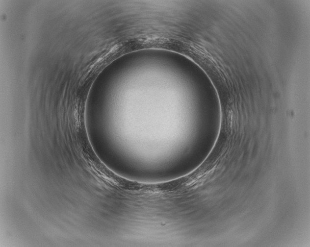 X0000088671250200705311134