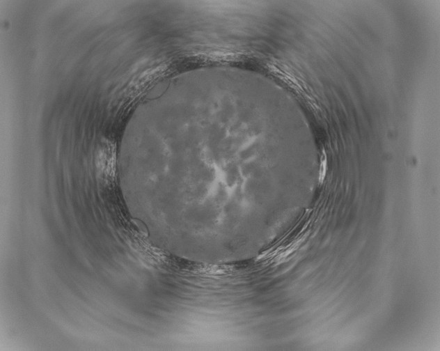 X0000088671251200705311134