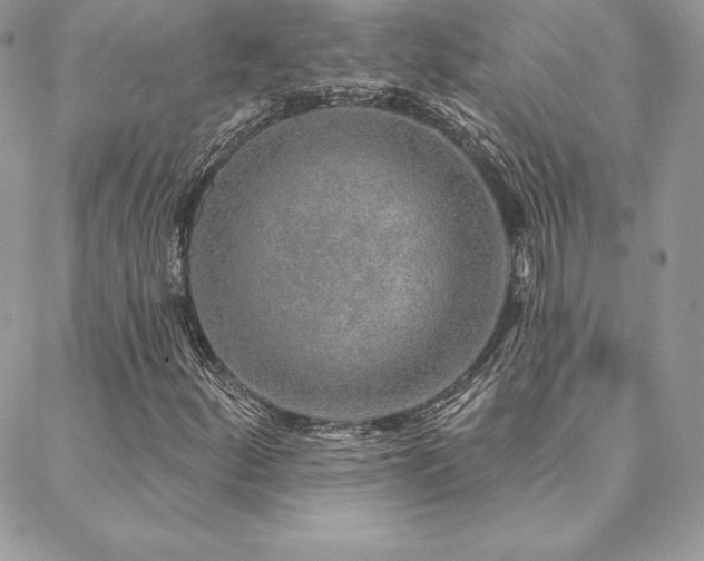 X0000088671252200705311134