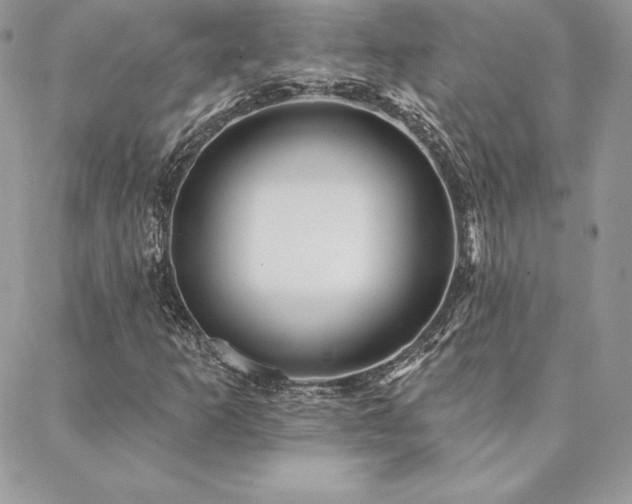 X0000088671253200705311134