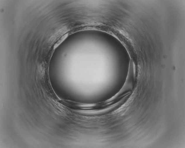 X0000088671257200705311134