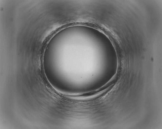 X0000088671262200705311134