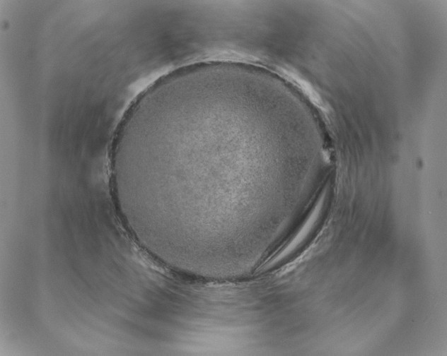 X0000088671264200705311134