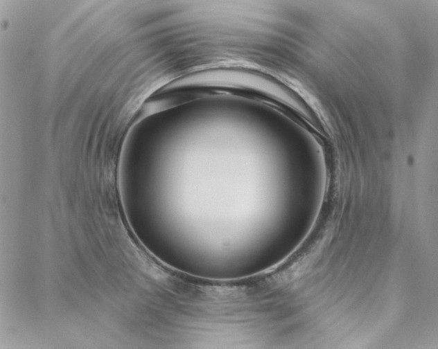 X0000088671281200705311133