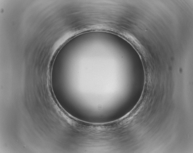 X0000088671286200705311133
