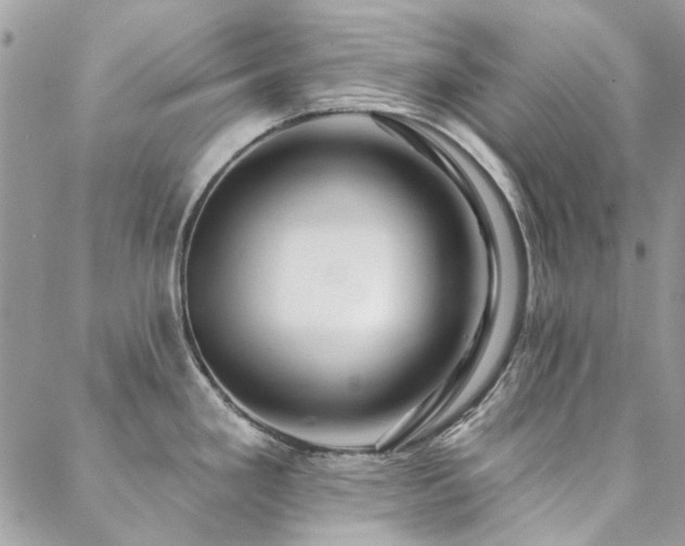 X0000088671293200705311133