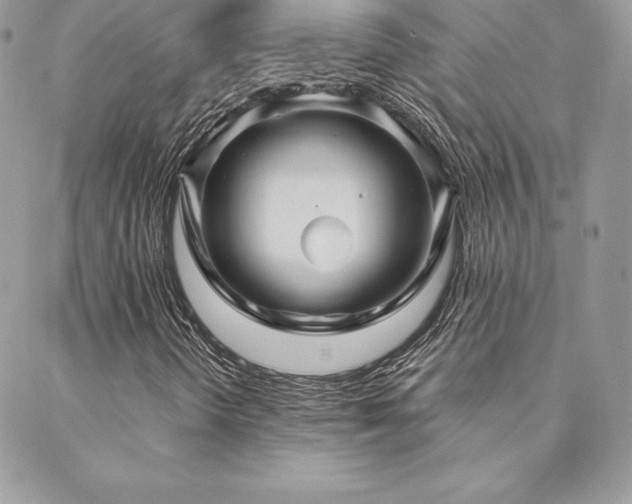 X0000088671298200705311132