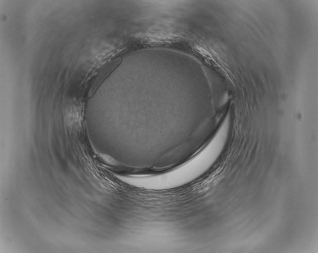 X0000088671300200705311132