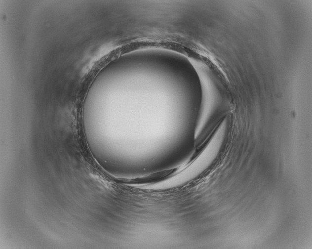 X0000088671304200705311133