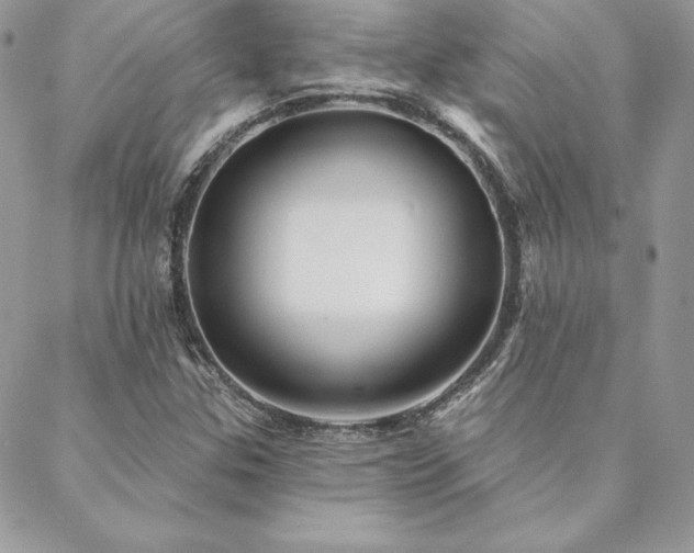 X0000088671307200705311133