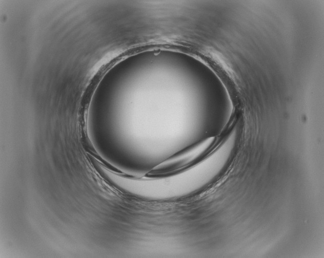 X0000088671308200705311133