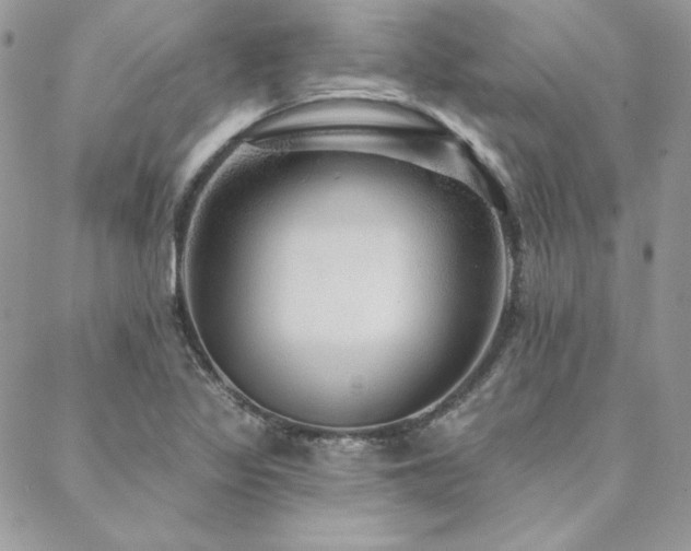 X0000088671317200705311133