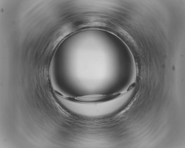 X0000088671321200705311133