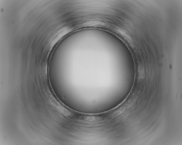 X0000088671322200705311133