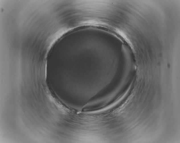 X0000088671323200705311133