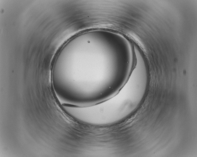 X0000088671324200705311133