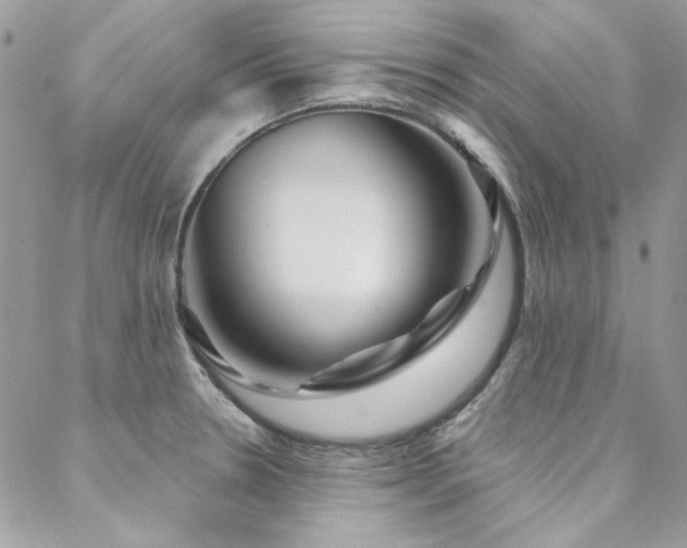 X0000088671330200705311133