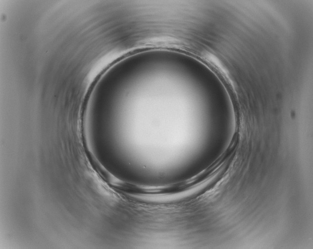 X0000088671336200705311133