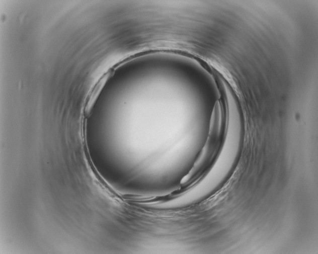 X0000088671342200705311133