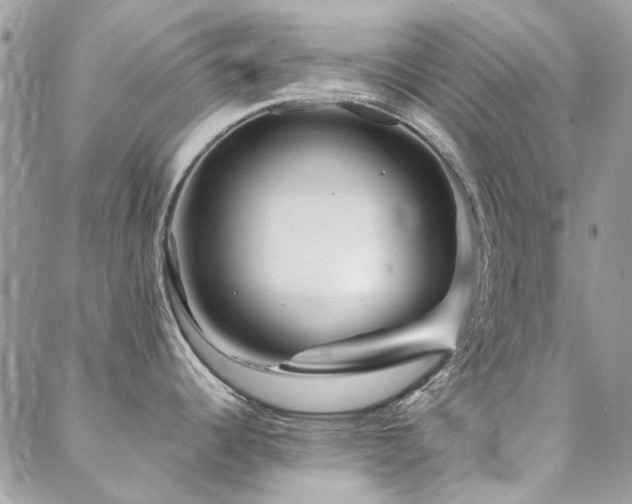 X0000088671344200705311133
