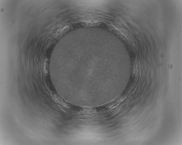 X0000088671346200705311132