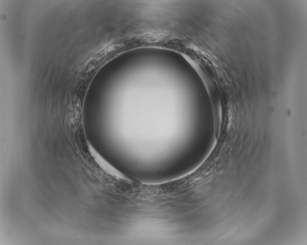 X0000088671349200705311132