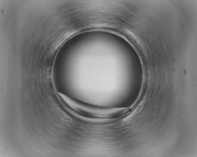 X0000088671361200705311132