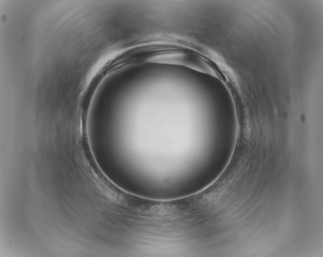 X0000088671368200705311132