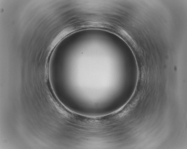 X0000088671370200705311132