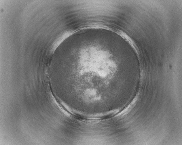 X0000088671385200705311132