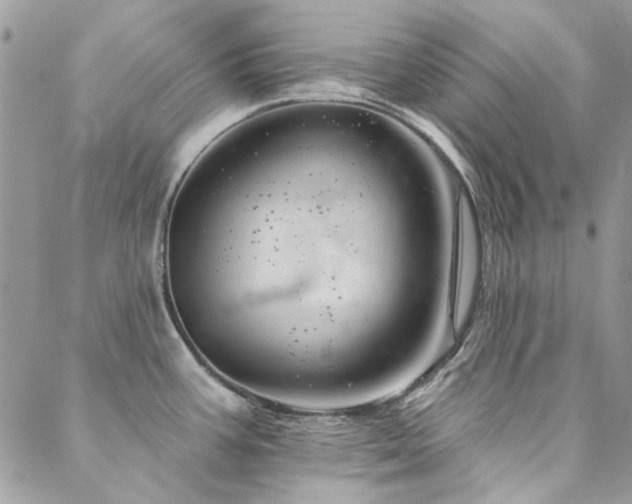X0000088671387200705311132