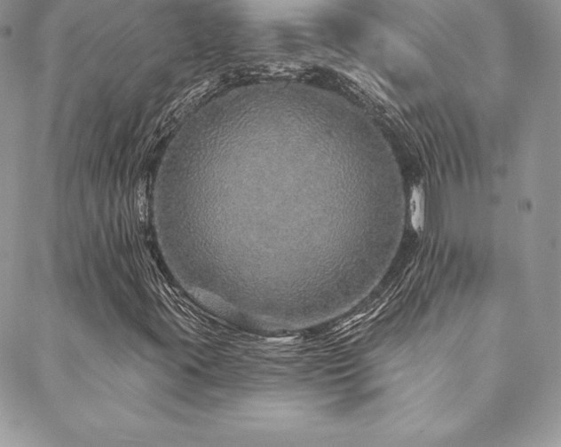 X0000088671395200705311131