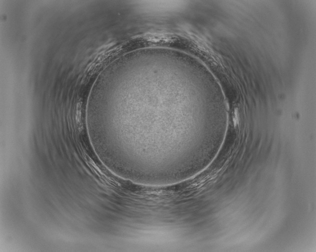 X0000088671396200705311131