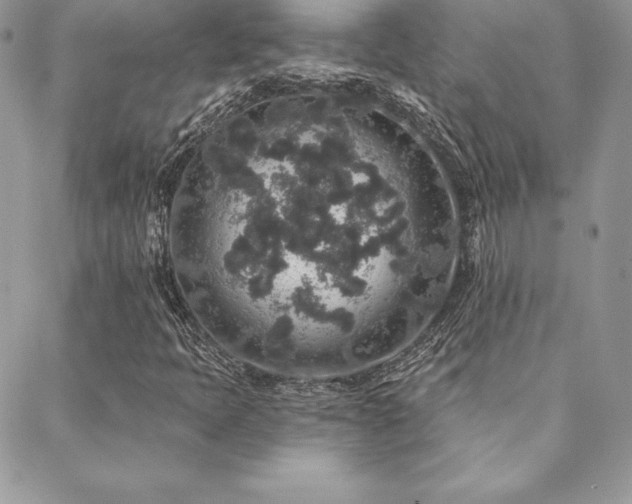 X0000088671397200705311131